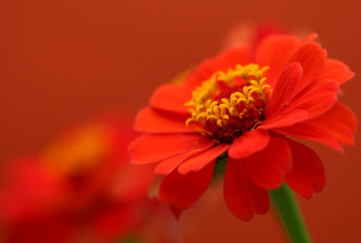 614033 (a): :2600x1750